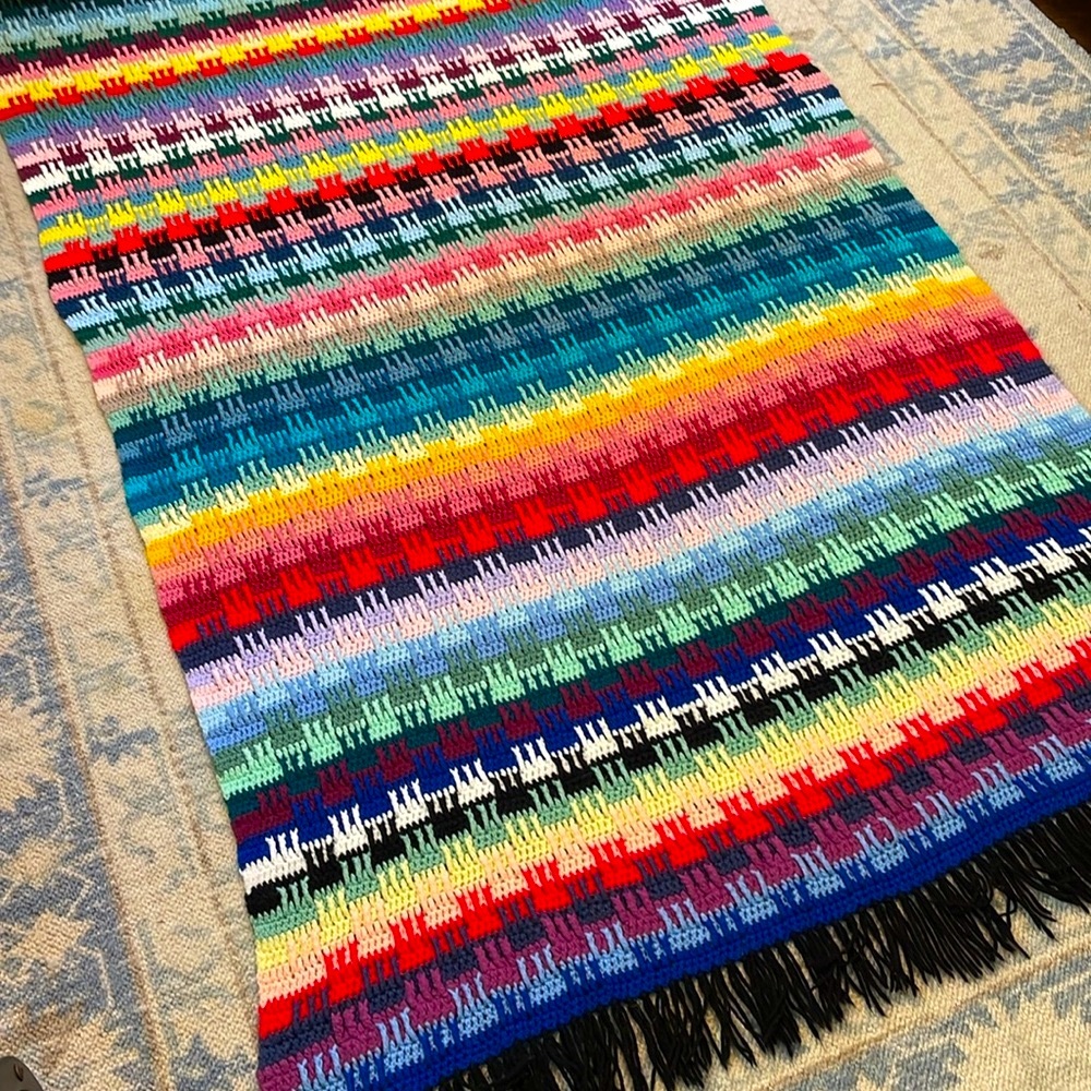 Rainbow stripe handmade crocheted afghan throw blanket with black fringe